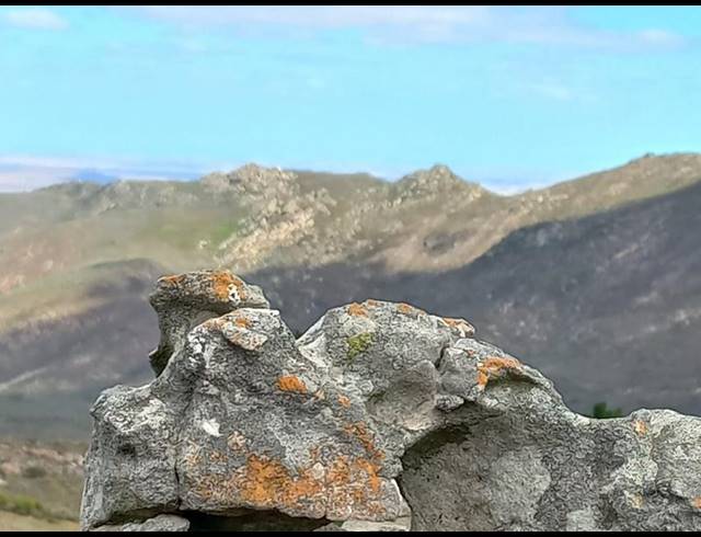 FARM FOR SALE IN PIKETBERG RURAL